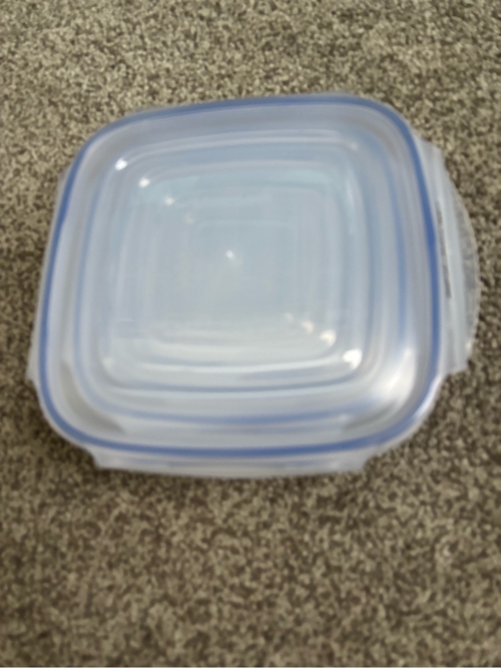 Clear Food Storage Container with Blue Seal - Durable Kitchen Organizer